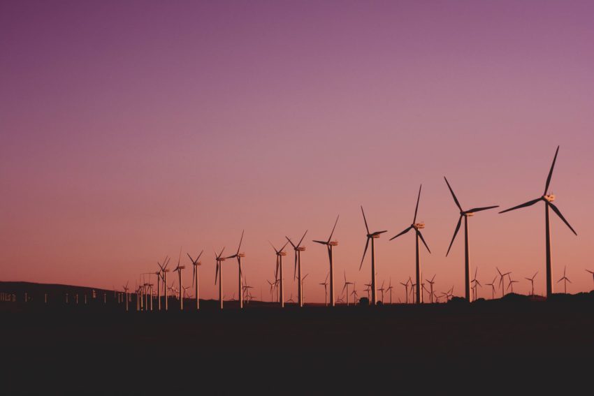 photo of wind turbines lot